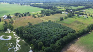 parcel for sale in Three Rivers, MI - aerial photo