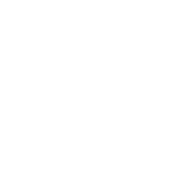 NAA Auctioneer Logo